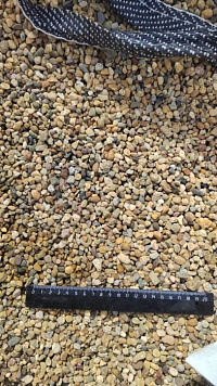 Kamenclub.ru: Галька окат (серо-желтая) фр.5-10 мм. купить  в Костроме галька речная рыжий, желтый, рыжий, серо-желтый речная окатанная галька декоративная 5000 руб/т   фото КАМЕНЬ КЛУБ