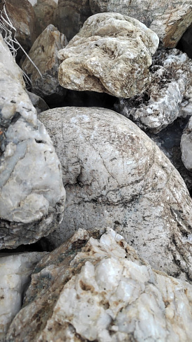 Kamenclub.ru: Кварцевый валунчик фр.100-300 мм.  купить в Костроме кварц белый, бежевый молочный рыжий крупный природный камень галечник 7850 руб/т   фото КАМЕНЬ КЛУБ