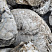 Kamenclub.ru: Кварцевый валунчик фр.100-300 мм.  купить в Костроме кварц белый, бежевый молочный рыжий крупный природный камень галечник 7850 руб/т   фото КАМЕНЬ КЛУБ