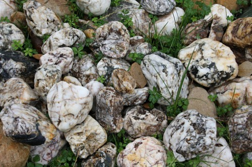 Kamenclub.ru: Кварцевый валунчик фр.100-300 мм.  купить в Костроме кварц белый, бежевый молочный рыжий крупный природный камень галечник 7850 руб/т   фото КАМЕНЬ КЛУБ