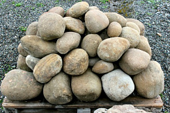 Kamenclub.ru: Песчаник ядра, фр. 100-300 мм  купить в Костроме песчаник бежевый серый рыжий речная галька 5 000 руб/т   фото КАМЕНЬ КЛУБ