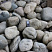 Kamenclub.ru: Речной валун (Ассорти) фр.100-300 мм.  купить в Костроме галечник серый, темно-серый, светло-серый речная галька крупных размеров 4200 руб/т   фото КАМЕНЬ КЛУБ