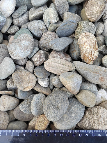 Kamenclub.ru: Галька речная окат (серая) фр.40-60 мм купить  в Костроме галька речная серый бежевый рыжий коричневый округлый речной камень 5000 руб/т   фото КАМЕНЬ КЛУБ