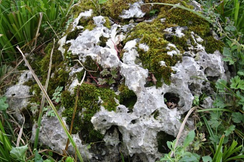 Kamenclub.ru: Выветренный известняк со мхом фр. 100-500 мм.  купить в Костроме известняк серый белый зеленый валун известняковый крупный 10000 руб/т   фото КАМЕНЬ КЛУБ