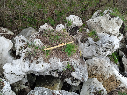 Kamenclub.ru: Выветренный известняк (степной) фр. 500-1500 мм.  купить в Костроме    10000 руб/т   фото КАМЕНЬ КЛУБ