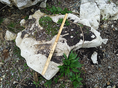 Kamenclub.ru: Выветренный известняк (степной) фр. 500-1500 мм.  купить в Костроме    10000 руб/т   фото КАМЕНЬ КЛУБ