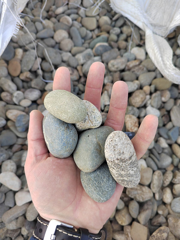 Kamenclub.ru: Галька речная окат (пестрая) фр. 20-40 мм. купить  в Костроме галька речная пестрая, серая, серые оттенки галька речная окатанная округлая 5000 руб/т   фото КАМЕНЬ КЛУБ