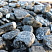 Kamenclub.ru: Щебень галтованный черный (мрамор) фр.20-40 мм.  купить в Костроме мрамор черный с белыми прожилками мрамор окатанный округлый 15000 руб/т   фото КАМЕНЬ КЛУБ
