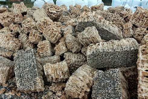 Kamenclub.ru: Крымский природный меотис фр. 100-500 мм.  купить в Костроме меотис бежевый рыжий молочный желтый ракушечник 4 500 руб/т   фото КАМЕНЬ КЛУБ