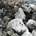 Kamenclub.ru: Черный гранит - кварцит фр. 100-500 мм.  купить в Костроме мрамор гранит черный с белыми прожилками, серый, белый валун скальный колотый 7000 руб/т   фото КАМЕНЬ КЛУБ