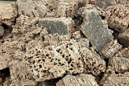 Kamenclub.ru: Крымский природный меотис фр. 100-500 мм.  купить в Костроме меотис бежевый рыжий молочный желтый ракушечник 4 500 руб/т   фото КАМЕНЬ КЛУБ