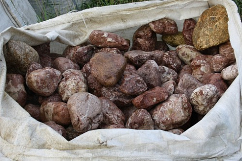 Kamenclub.ru: Розовый валунчик фр.100-300 мм.  купить в Костроме крупный природный камень розовый, серый молочный красный речной галечник природный 7850 руб/т   фото КАМЕНЬ КЛУБ