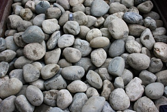 Kamenclub.ru: Речной валун (Ассорти) фр.100-300 мм.  купить в Костроме галечник серый, темно-серый, светло-серый речная галька крупных размеров 4200 руб/т   фото КАМЕНЬ КЛУБ