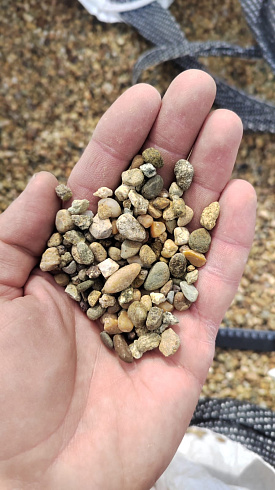 Kamenclub.ru: Галька окат (серо-желтая) фр.5-10 мм. купить  в Костроме галька речная рыжий, желтый, рыжий, серо-желтый речная окатанная галька декоративная 5000 руб/т   фото КАМЕНЬ КЛУБ